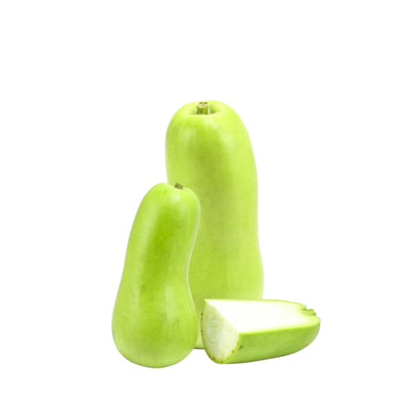 Bottle Gourd