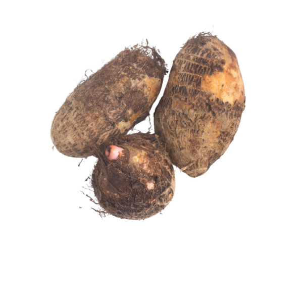 Taro Yam (Seppankizhangu)