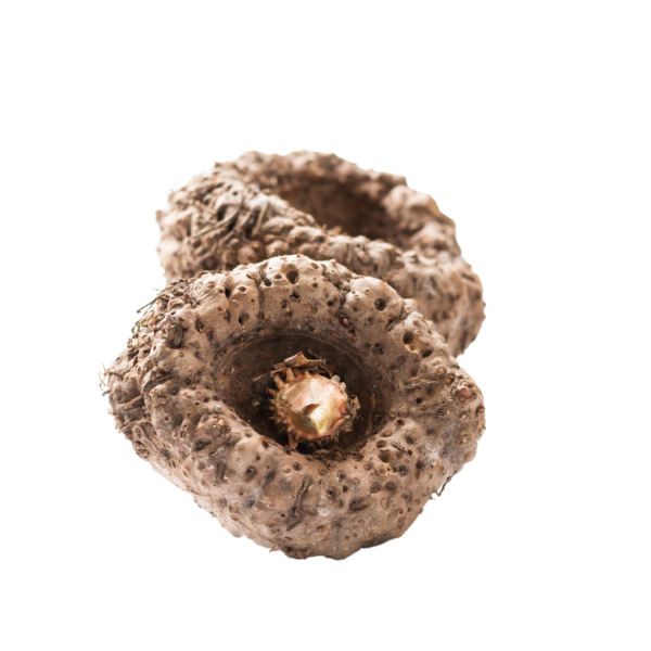 Elephant Yam