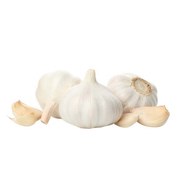 Big-Garlic